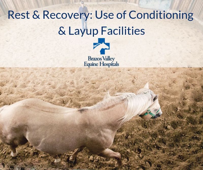 Rest & Recovery: Use of Conditioning & Layup Facilities